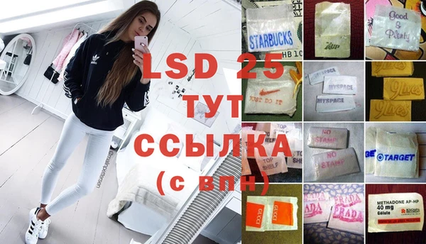 ГАЛЛЮЦИНОГЕННЫЕ ГРИБЫ Алексин