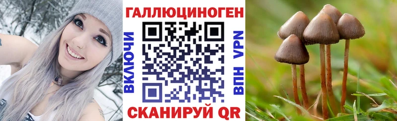 МЕГА как войти  Ивангород  Псилоцибиновые грибы прущие грибы 